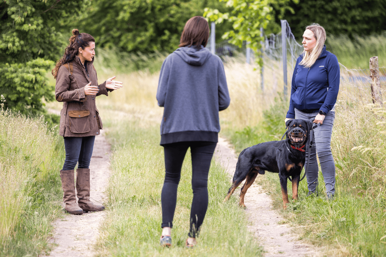 Leistungen 9 Ausbildung zum Hundetrainer