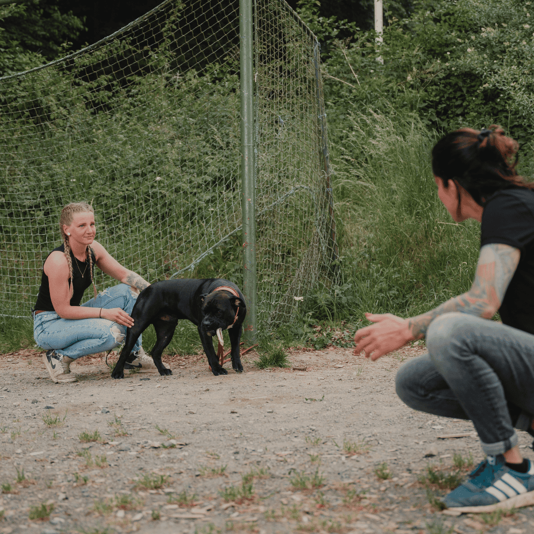 Maßgeschneiderter Trainingsplan
