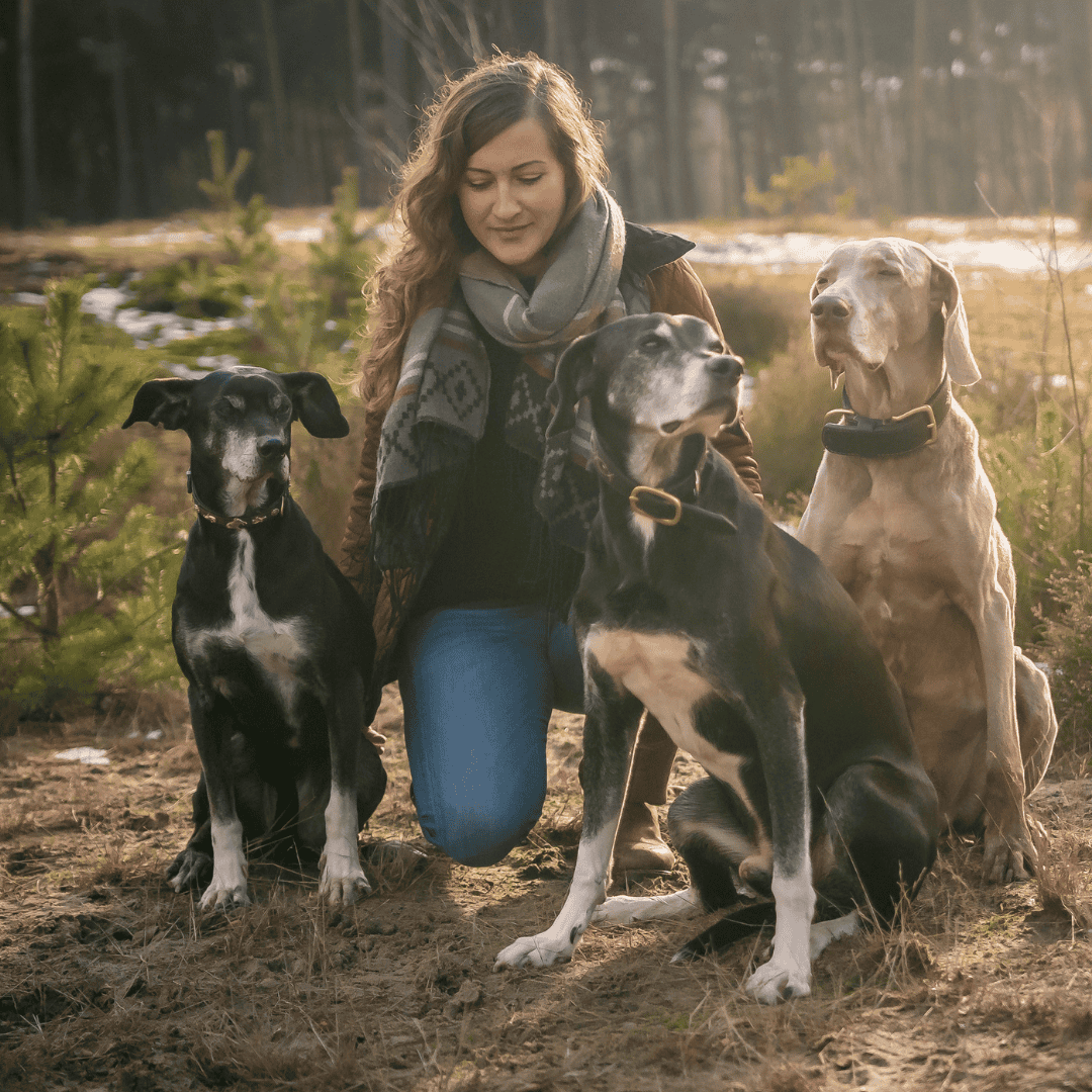 Über uns 2 Design ohne Titel 24