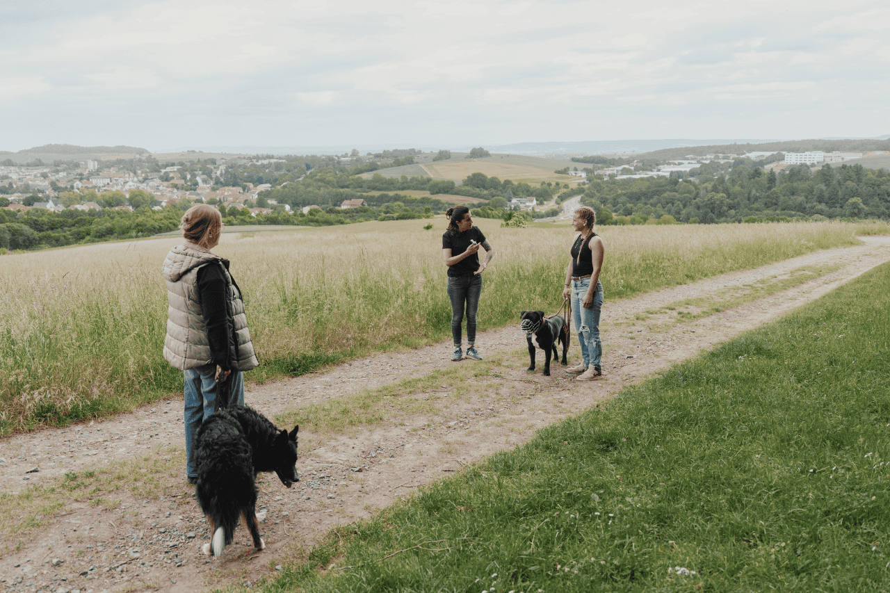 Über uns 6 Individualität
