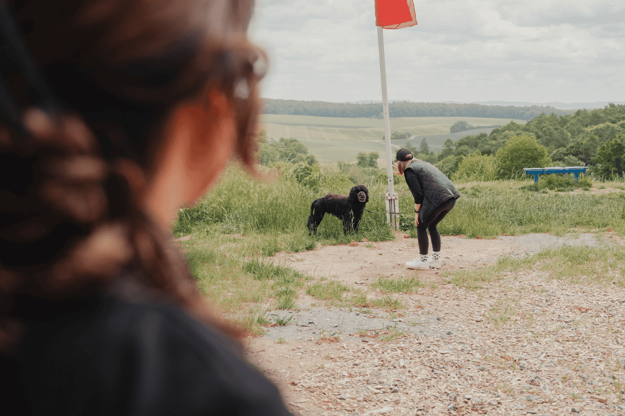Über uns 7 Konflikte annehmen