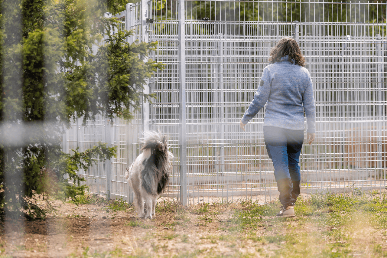 Leistungen 6 Tierheime/Tierschutzorganisationen