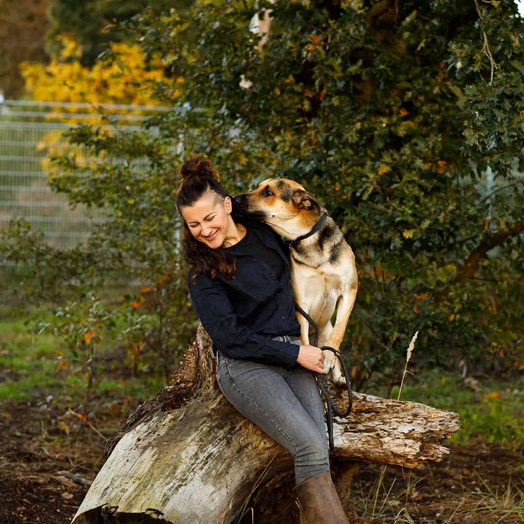 Hund zu einem entspannten Begleiter zu entwickeln