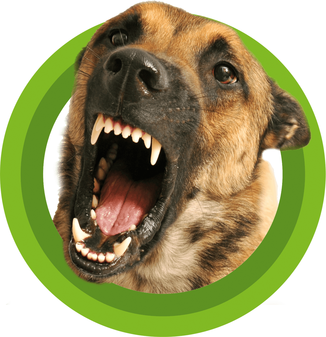 Leistungen 1 Sonee Dosoruth